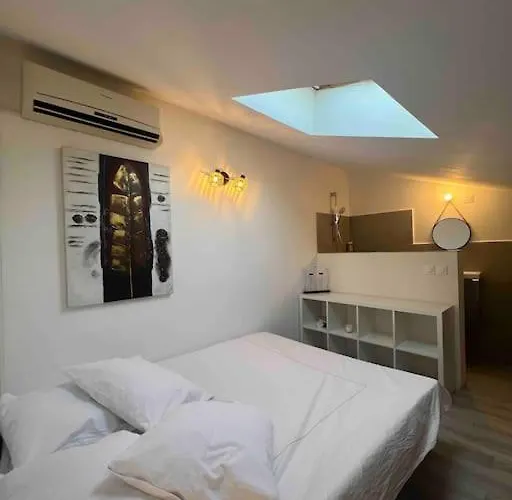 Magnifique T3 Duplex