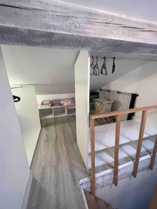 Magnifique T3 Duplex *